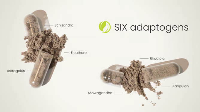 6 adaptogens in Adaptable capsules by Solle Naturals