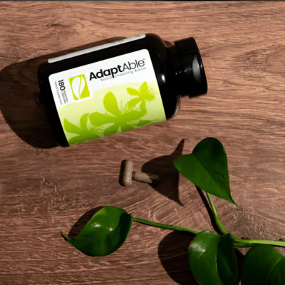 Adaptables by Solle Naturals Mood enhancing blend on table with plant